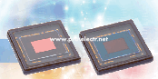 IMX273LLR-C