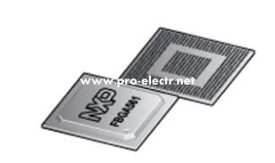 P1015NXE5DFB